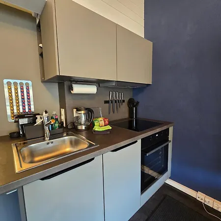 Lakeview Loft*lake/ferry Access* Apartamento Spiez